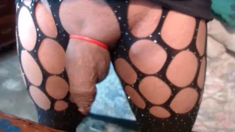 dreamreal online show from September 2025 11:10:01 AM