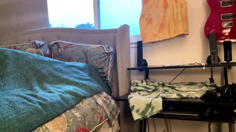 Snapshot of driving_perfectly chatting on March 2026 01:55:02 AM driving_perfectly online show from March 2026 01:55:02 AM