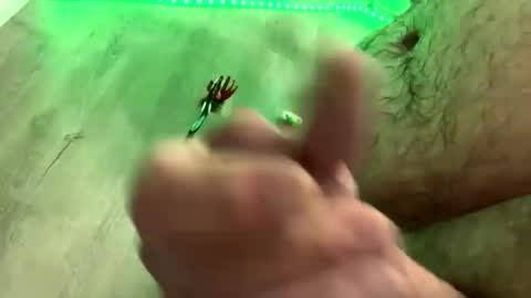 Snapshot of droppingloads82 chatting on January 2025 05:43:02 AM droppingloads82 online show from January 2025 05:43:02 AM