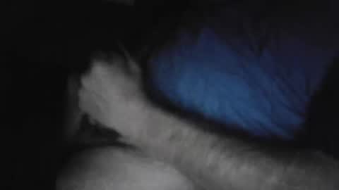 drthick1224 online show from November 2025 02:35:01 AM