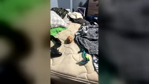 Snapshot of dryydennn chatting on April 2026 01:14:02 AM sissyginger online show from April 2026 01:14:02 AM