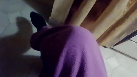 dthedog12 online show from February 2026 09:41:01 PM