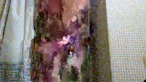 Snapshot of dublindub12 chatting on March 2025 10:03:02 AM dublindub12 online show from March 2025 10:03:02 AM