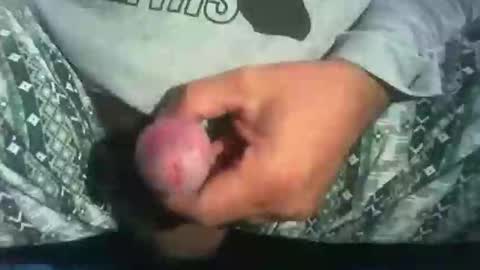 Snapshot of dude_13 chatting on October 2025 04:13:02 AM dude_13 online show from October 2025 04:13:02 AM