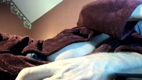 Doug online show from November 2025 03:01:02 AM