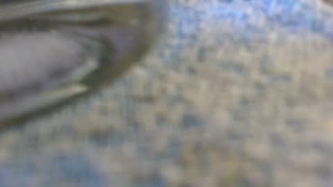 dunany101 online show from November 2025 11:51:02 PM