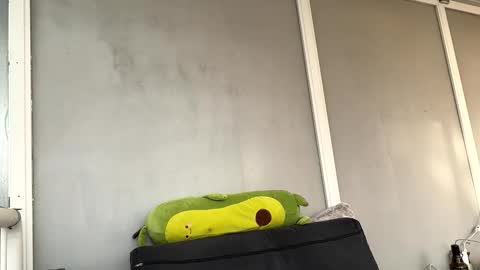 duracelshock online show from April 2026 04:54:01 PM