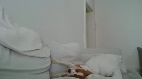 dustyroy09 online show from February 2025 01:45:02 AM