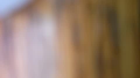 dVe1oPe online show from September 2025 09:42:02 AM