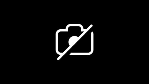 dylp400 online show from January 2026 08:19:01 AM