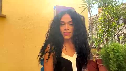 Dynasty online show from March 2026 02:22:02 PM