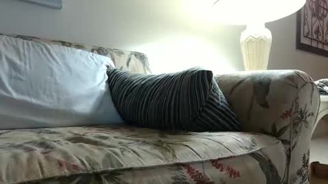 Snapshot of earthcreature chatting on February 2025 09:15:01 AM Earth Creature online show from February 2025 09:15:01 AM