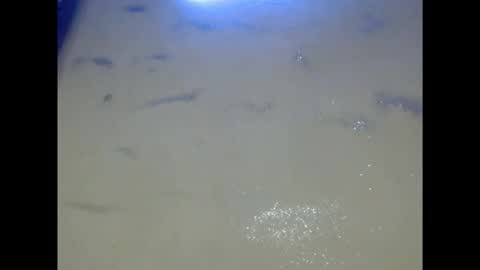 eatuupx online show from December 2025 09:18:01 AM