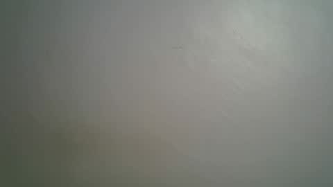 Queen online show from March 2026 08:37:02 PM