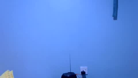 ebonybloom01 online show from November 2025 05:36:02 PM