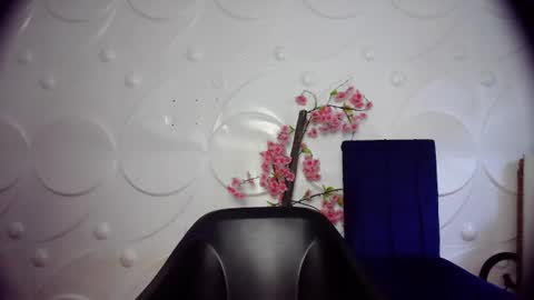 Snapshot of ebonykissxx chatting on June 2026 11:36:01 AM ebonykissxx online show from June 2026 11:36:01 AM