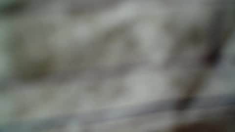 Snapshot of eddfox001 chatting on June 2026 04:47:01 AM eddfox001 online show from June 2026 04:47:01 AM