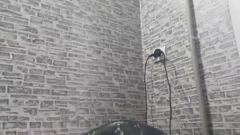 edithmanning online show from January 2025 09:03:01 AM