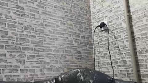 edithmanning online show from February 2025 12:29:01 PM