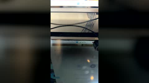 Snapshot of edwardross_ chatting on July 2026 08:00:02 PM Edward Ross online show from July 2026 08:00:02 PM