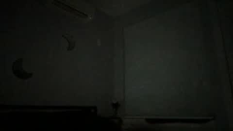 Snapshot of eerriicc2022 chatting on December 2024 10:08:01 AM eerriicc2022 online show from December 2024 10:08:01 AM