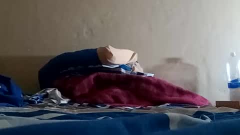 Sebastin online show from January 2025 07:17:02 AM