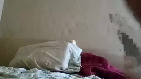 Sebastin online show from February 2025 03:41:02 AM