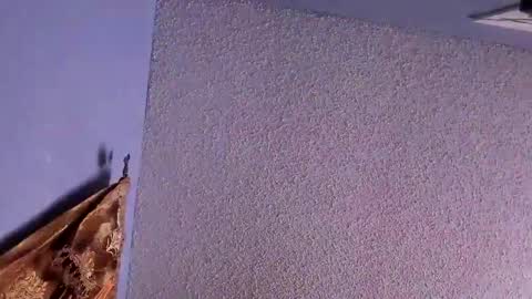 Snapshot of el_santo18 chatting on February 2025 12:53:02 AM Santos online show from February 2025 12:53:02 AM