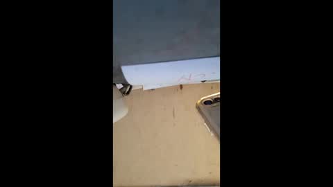 Snapshot of elaine33mae chatting on March 2026 06:41:02 AM elaine33mae online show from March 2026 06:41:02 AM