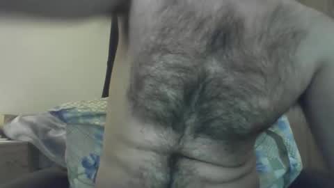 Elastik6 online show from January 2025 02:39:01 PM