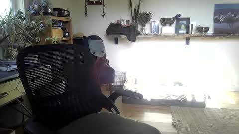 Snapshot of elephantfox chatting on June 2026 02:36:01 PM fox online show from June 2026 02:36:01 PM