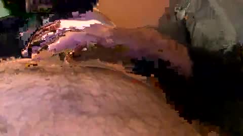 elgato66699 online show from April 2026 04:59:02 AM