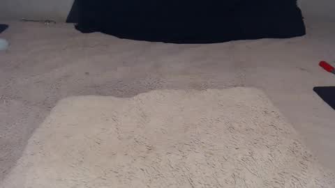 elgsslt online show from November 2025 12:16:02 PM