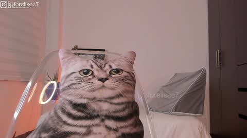 Eli online show from December 2024 07:16:01 AM