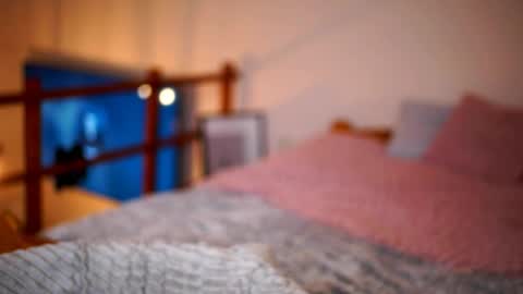 Sunflower  online show from January 2026 03:16:01 PM