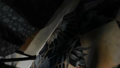 elithcoup_cum online show from December 2024 08:16:01 PM