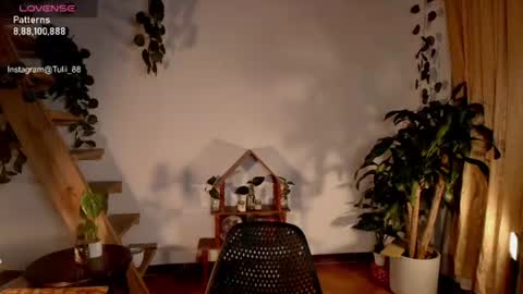 Snapshot of elizabethz chatting on June 2026 01:07:02 AM Tuli online show from June 2026 01:07:02 AM