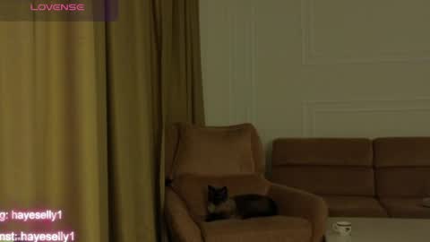 Ella NEXT STREAM 1TH DECEMBER 1200 - 0800 AM AT MOSCOW TIME online show from April 2026 11:27:02 PM