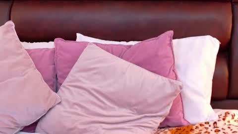 Ella Sanders online show from March 2026 11:48:01 PM