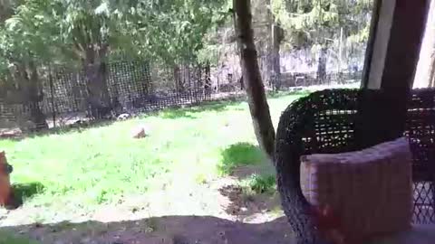 Elliohh online show from April 2026 06:20:01 PM