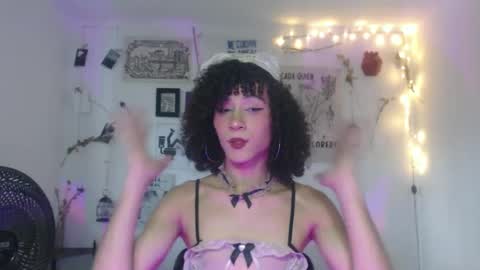  . online show from October 2025 07:33:02 PM