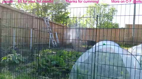 Ella Bella Bo Bella online show from June 2026 01:35:02 PM