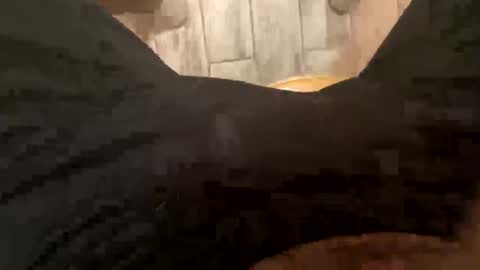 Snapshot of elparador chatting on December 2024 07:58:02 AM El Parador online show from December 2024 07:58:02 AM