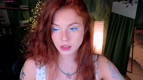 Snapshot of elsie_ginger chatting on January 2025 10:38:01 PM Elsie online show from January 2025 10:38:01 PM