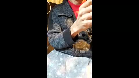 Snapshot of elvergg1 chatting on January 2026 07:12:02 AM elvergg1 online show from January 2026 07:12:02 AM