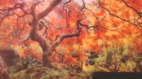 Ember Starleena online show from September 2025 01:16:02 PM