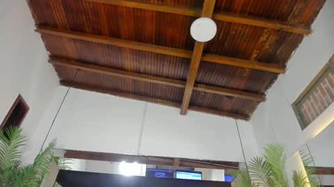 Emily  online show from February 2026 10:58:02 AM