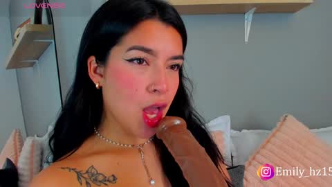 Snapshot of emily_haze chatting on December 2024 02:00:01 PM Emily online show from December 2024 02:00:01 PM