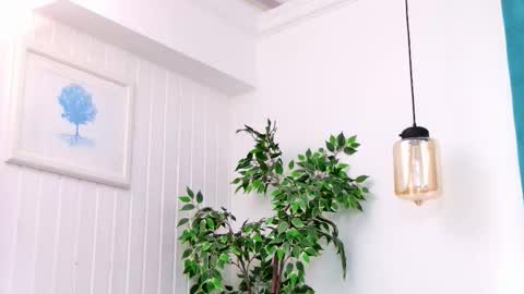 Emily online show from March 2026 08:04:01 PM