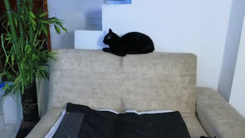 Emma Blue  modelo independiente online show from April 2026 03:53:01 AM